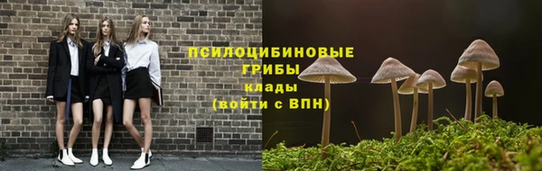 дурь Белокуриха