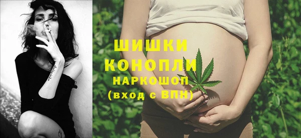spice Беломорск