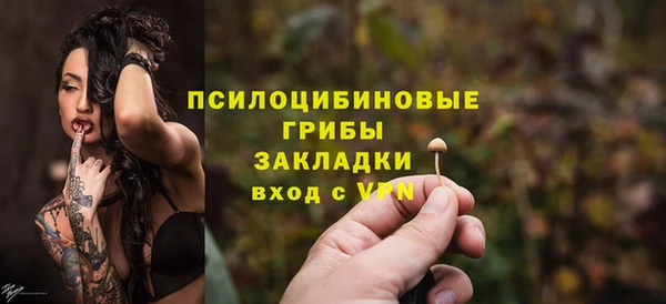 spice Беломорск