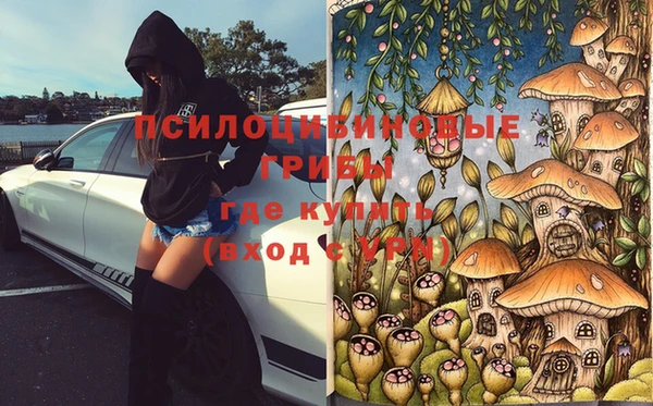 дурь Белокуриха