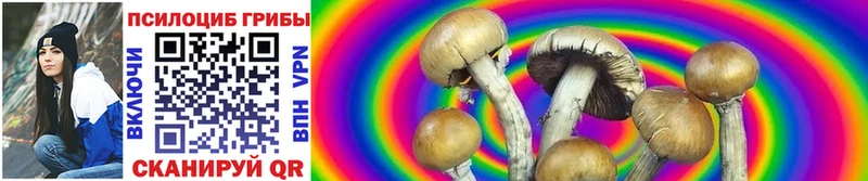 Галлюциногенные грибы MAGIC MUSHROOMS Богородицк