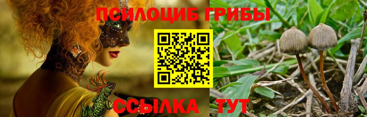 Галлюциногенные грибы Psilocybine cubensis  Галлюциногенные грибы Cubensis  Вход с VPN  Богородицк 