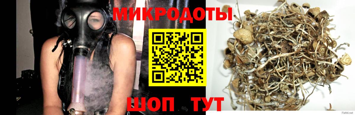 Псилоцибиновые грибы ЛСД Богородицк