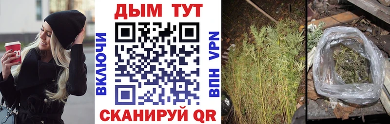 Конопля Bruce Banner  ссылка на мегу рабочий сайт  Богородицк 